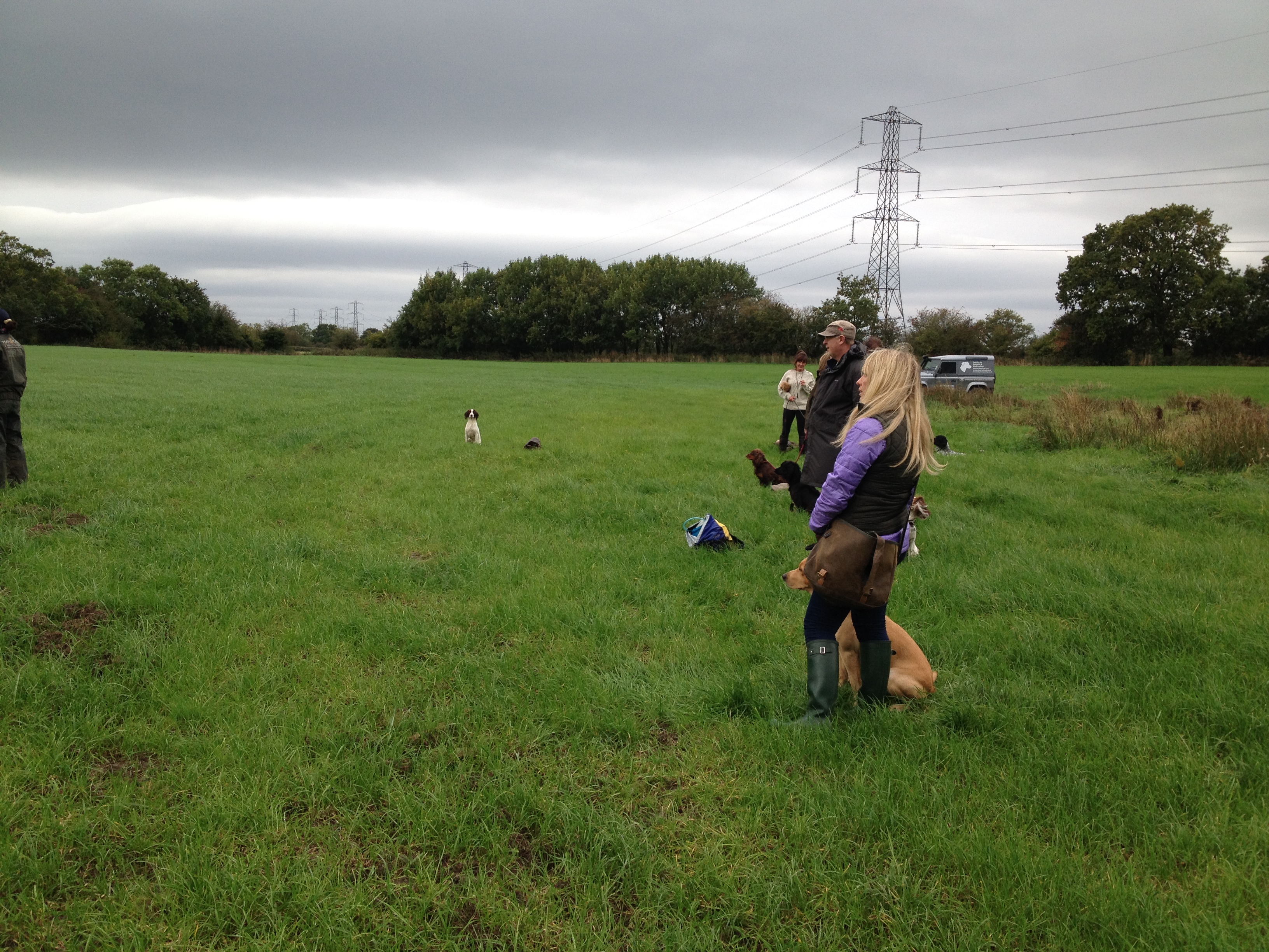 Group Gundog Training