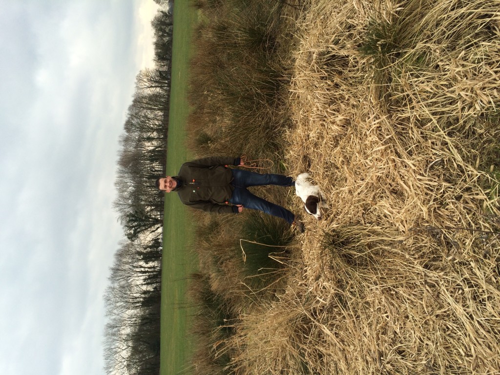 Springer Spaniel Gundog Training with Tessleymoor