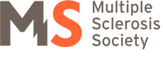 MS logo