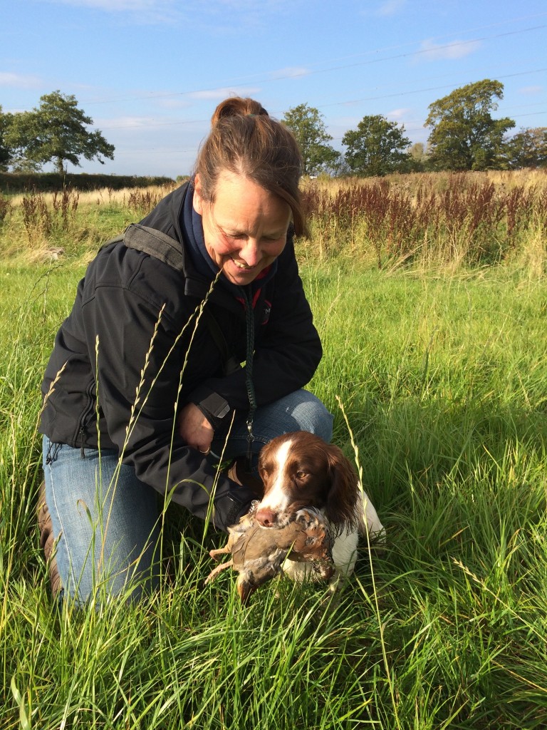 Tessleymoor Gundogs training a springer spaniel