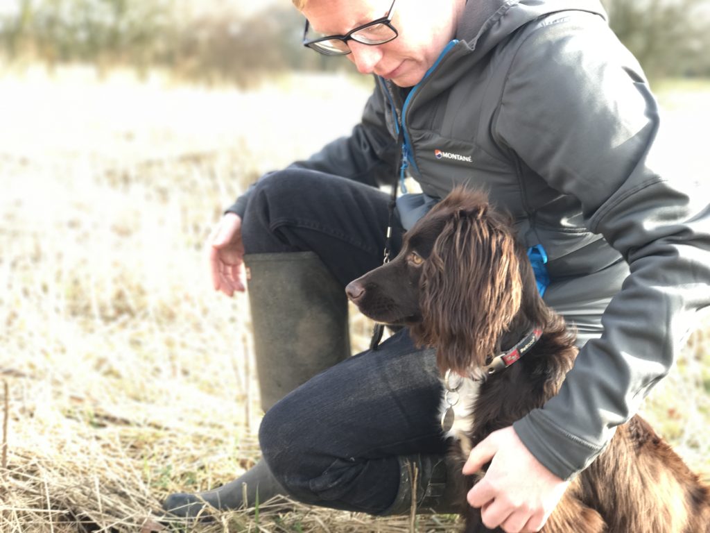 puppy gundog training cocker spaniel