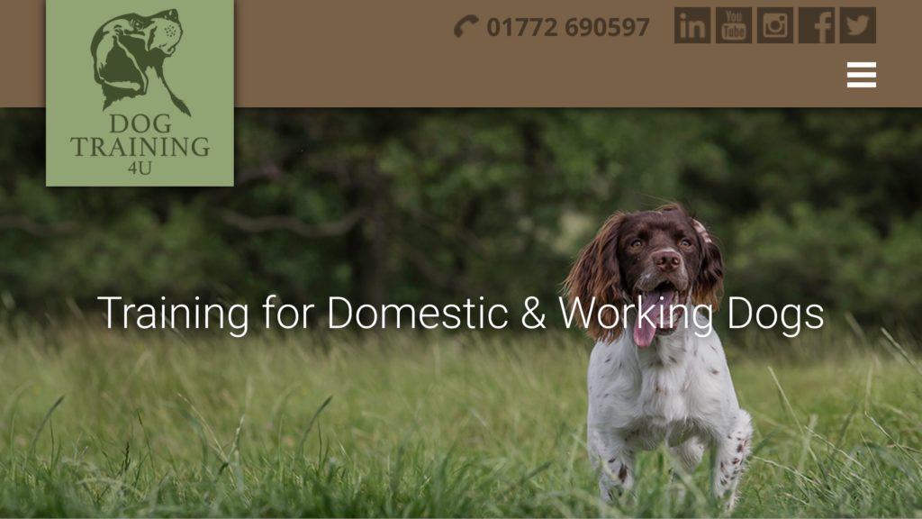 gundog training website