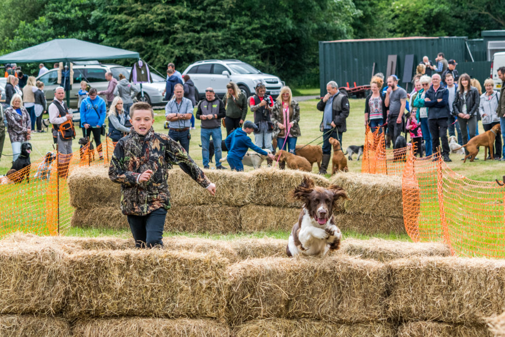 Topland Clay Shoot and Tessleymoor Gundog Charity Event