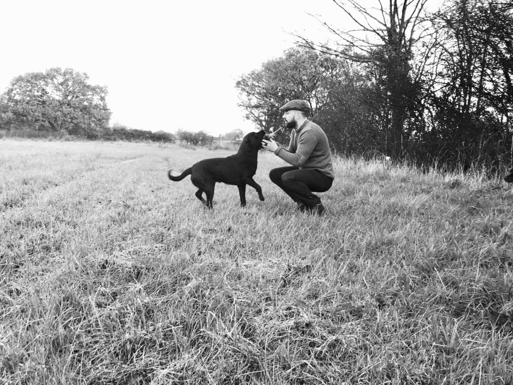 game retrieving labrador shooting season