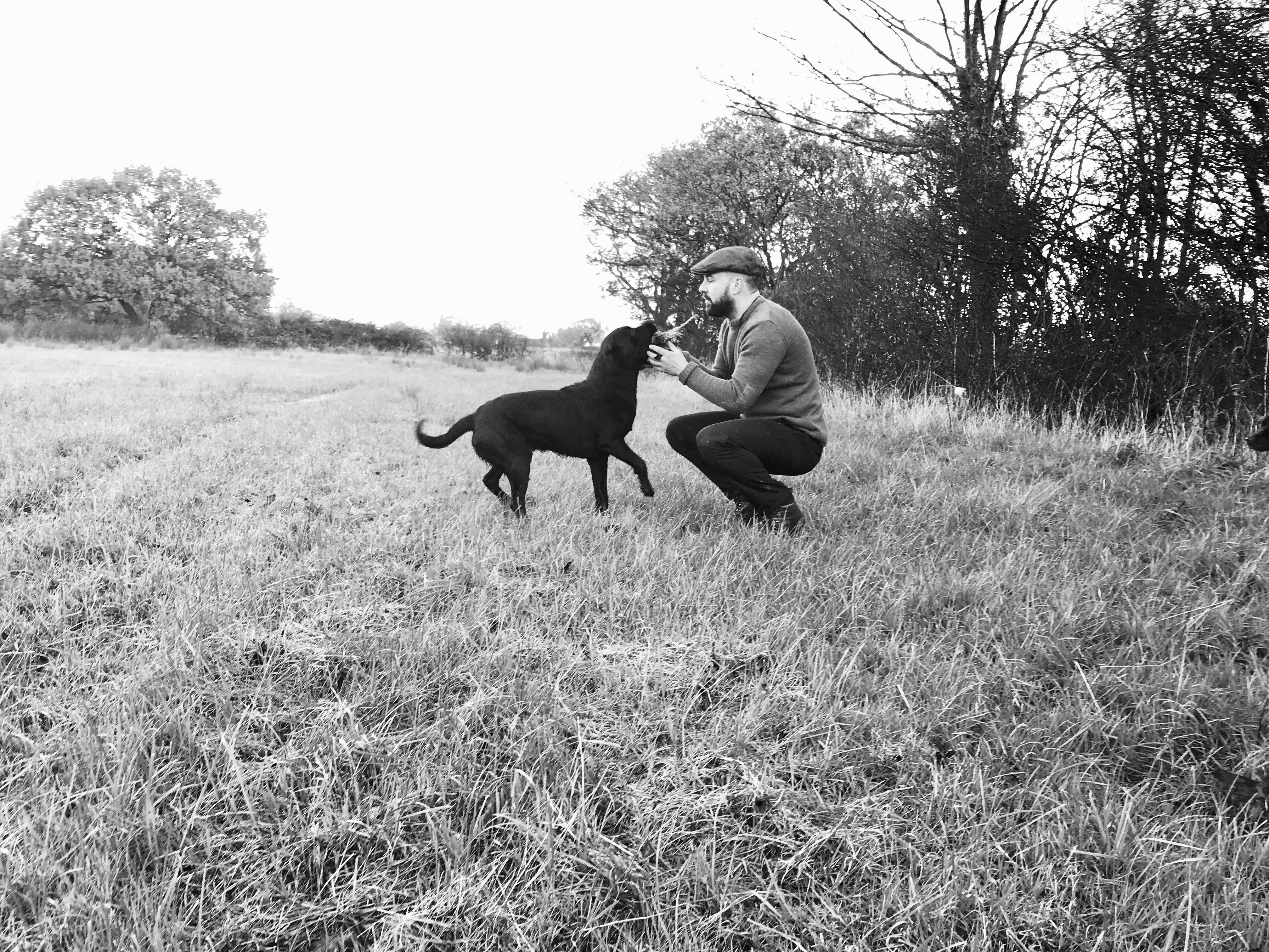 game retrieving labrador shooting season