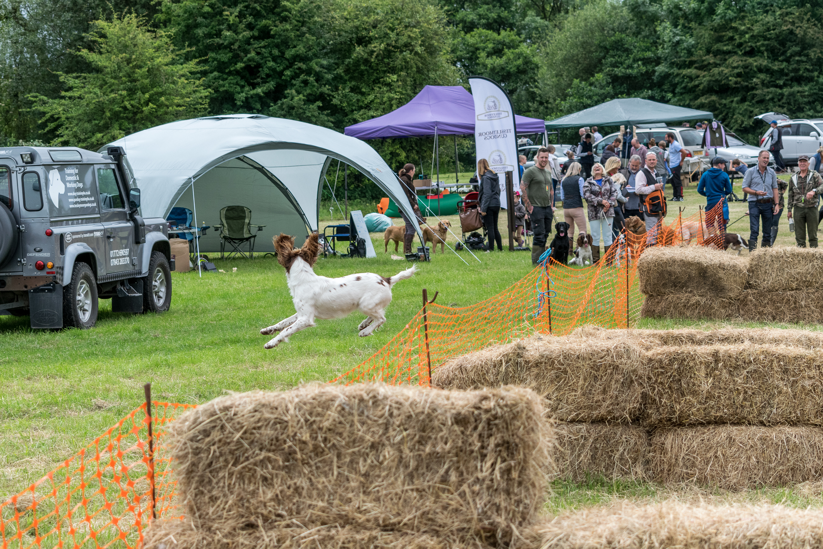 tessleymoor gundog toplands clay shoot charity event