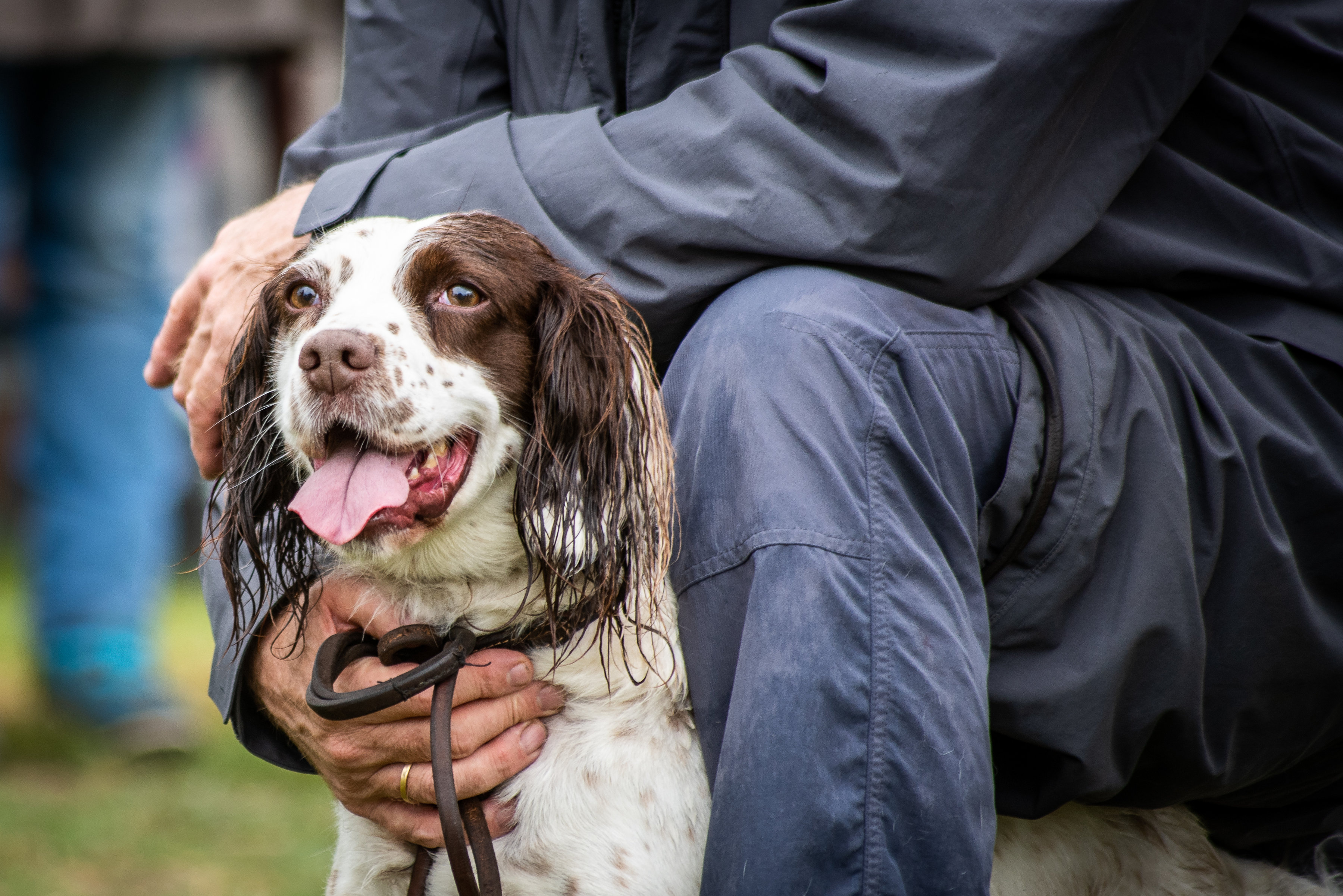 toplands clay shoot and tessleymoor gundogs charity event