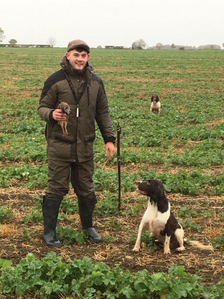 first shoot day springer spaniel