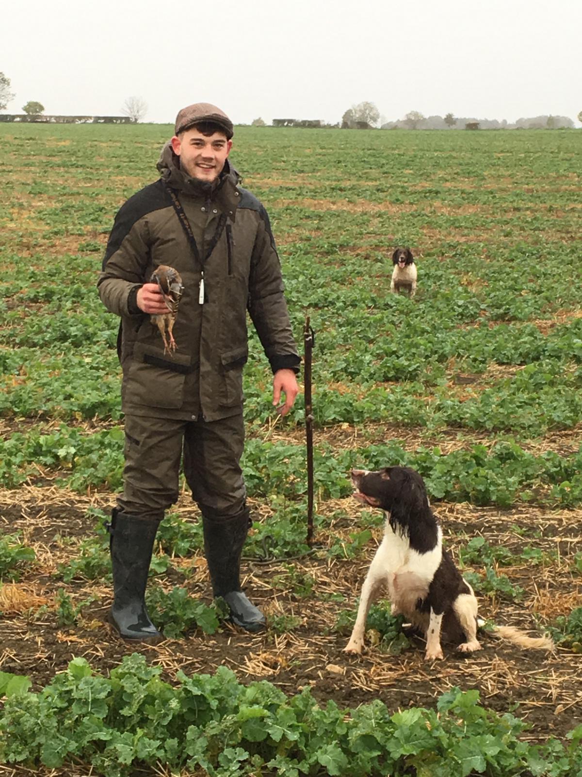 first shoot day springer spaniel