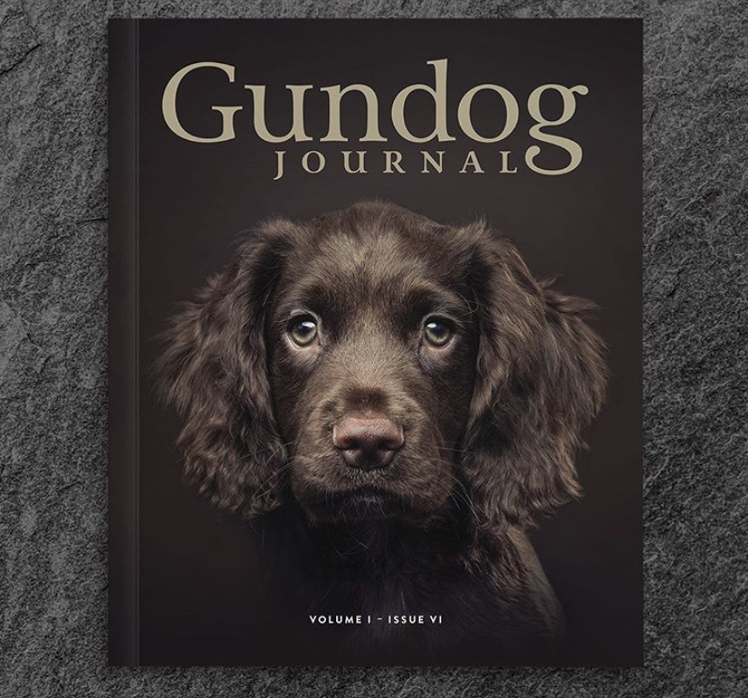 tessleymoor gundog journal
